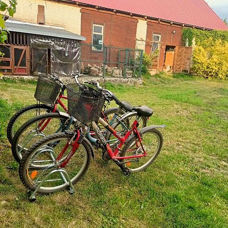 Malinowy Gaj - Agroturystyka Z Alpakami I Innymi Zwierzetami Swietajno  Exterior foto