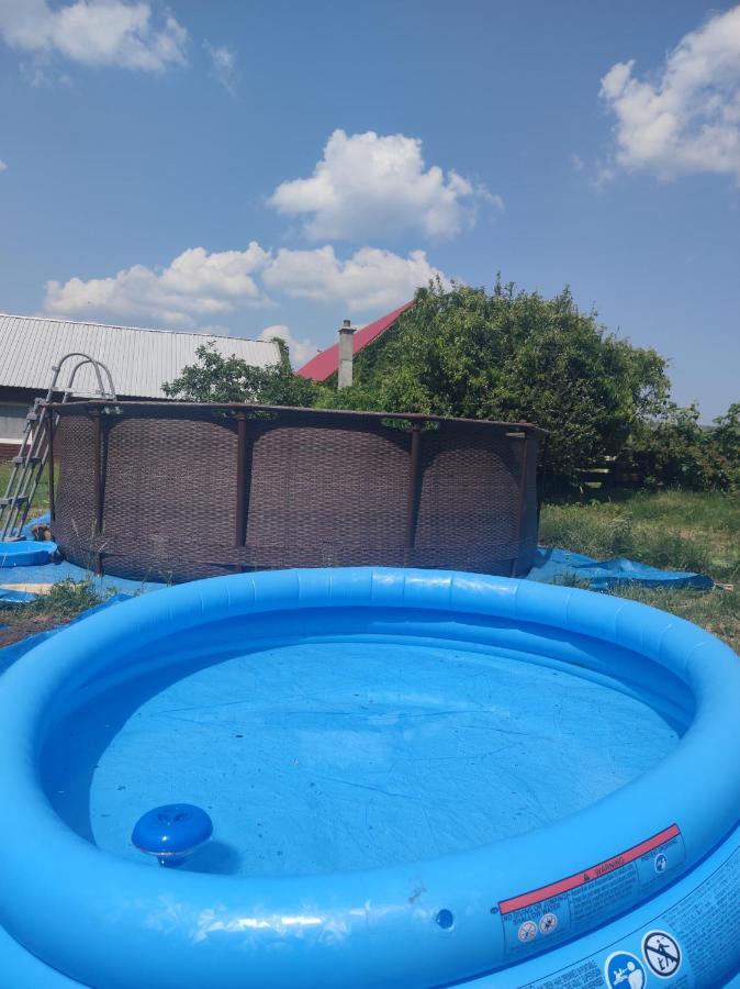 Malinowy Gaj - Agroturystyka Z Alpakami I Innymi Zwierzetami Swietajno  Exterior foto