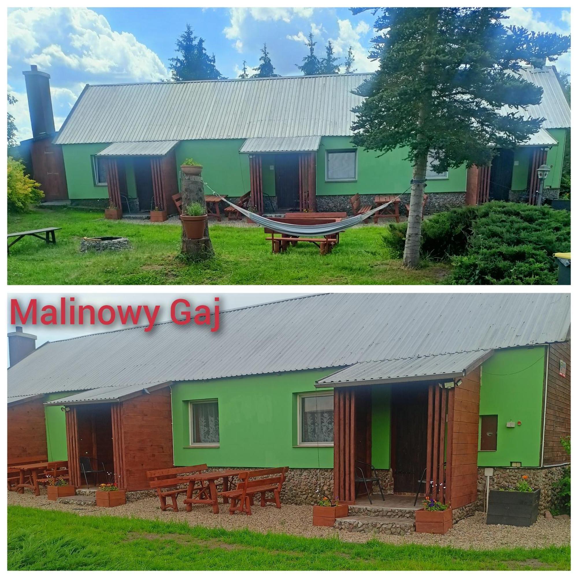 Malinowy Gaj - Agroturystyka Z Alpakami I Innymi Zwierzetami Swietajno  Exterior foto